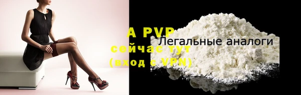 ГАЛЛЮЦИНОГЕННЫЕ ГРИБЫ Осташков