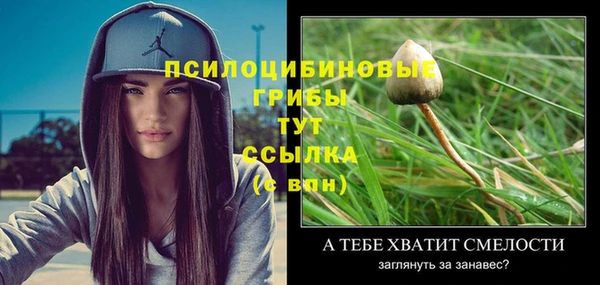 ГАЛЛЮЦИНОГЕННЫЕ ГРИБЫ Осташков