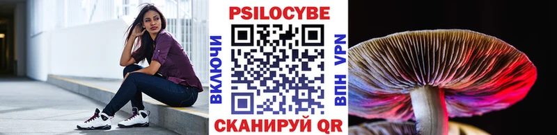 это наркотические препараты  Приволжск  Псилоцибиновые грибы Cubensis 